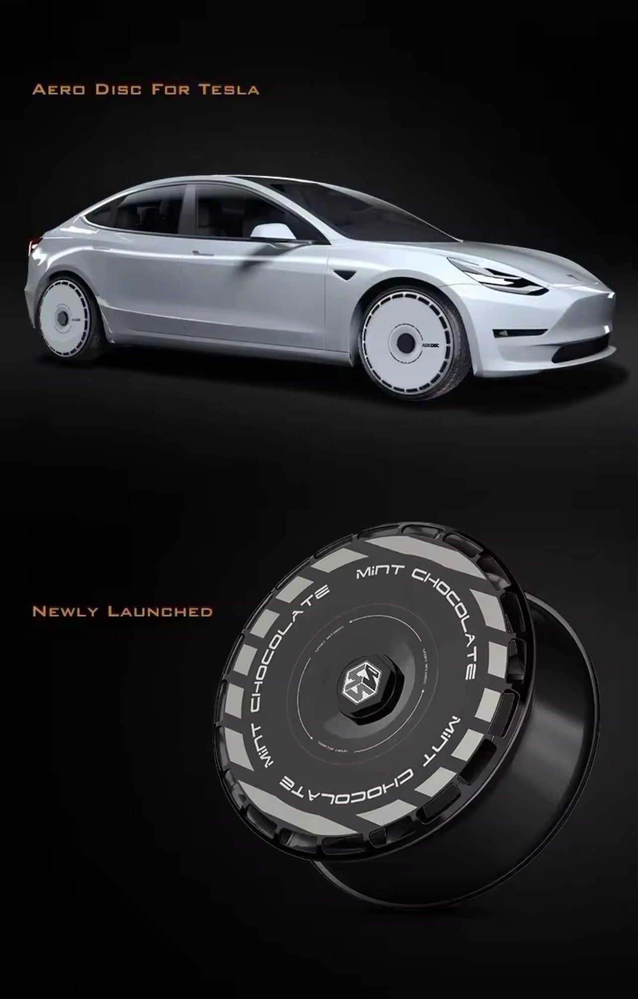 Tesla Custom Aero Disc Wheel Cover Set (4PCS)